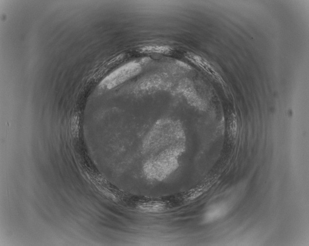 X0000081570551200702051217