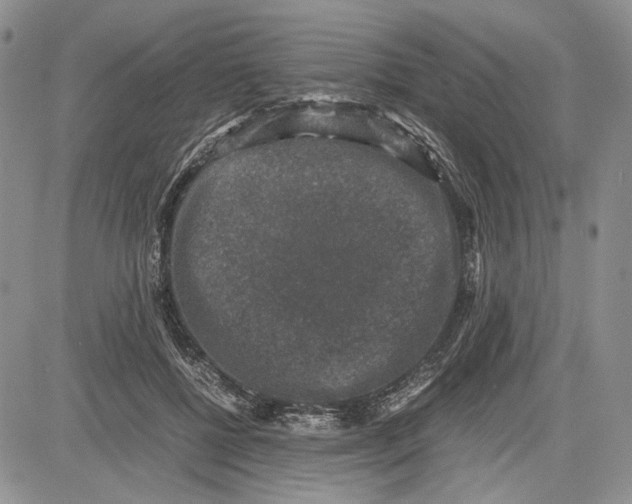 X0000081570552200702051217