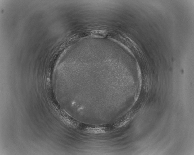 X0000081570553200702051217