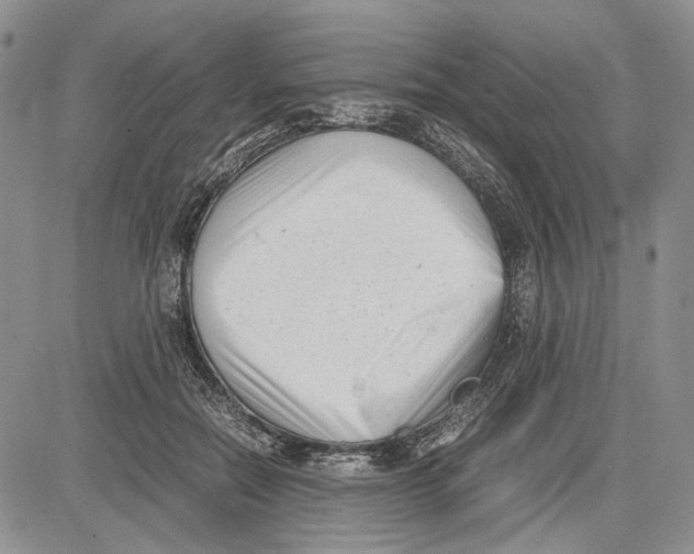 X0000081570554200702051217