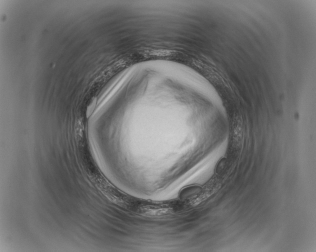 X0000081570555200702051217