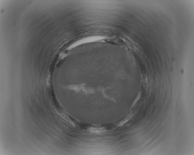 X0000081570556200702051217