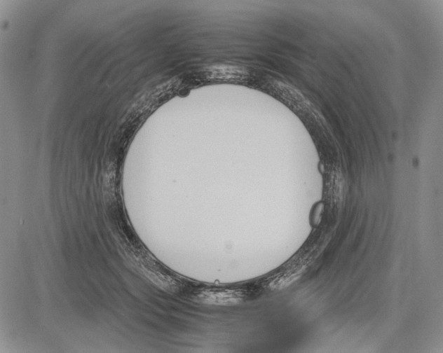 X0000081570557200702051217