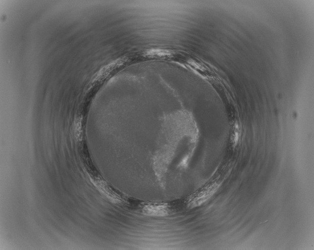 X0000081570560200702051217