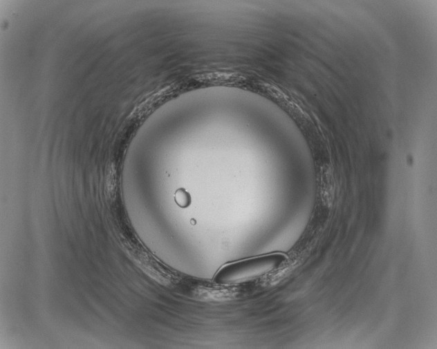 X0000081570563200702051217