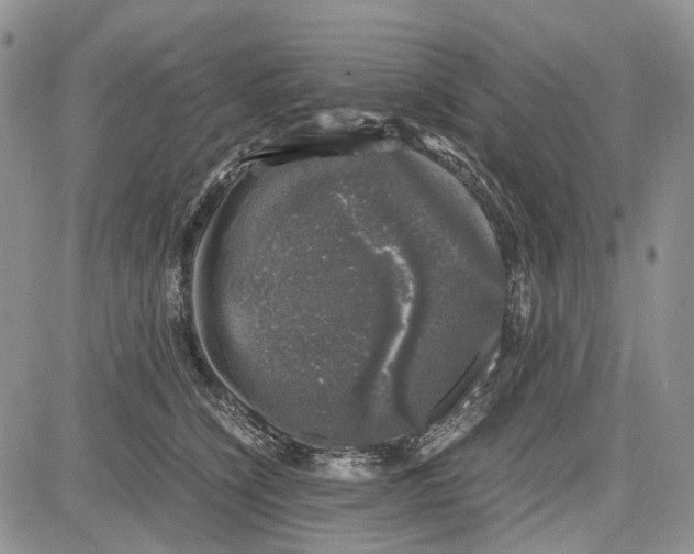 X0000081570564200702051217