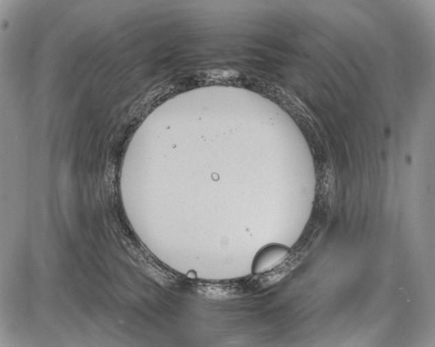 X0000081570565200702051217