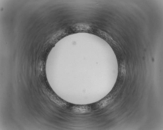 X0000081570567200702051217