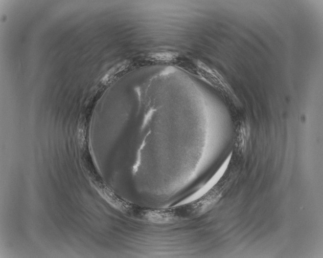 X0000081570568200702051217