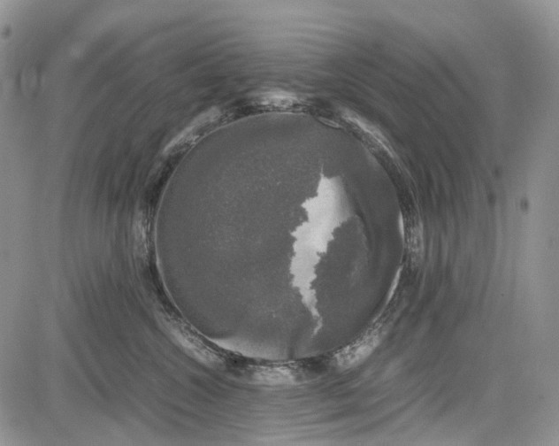 X0000081570572200702051217