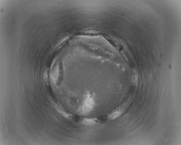 X0000081570573200702051217