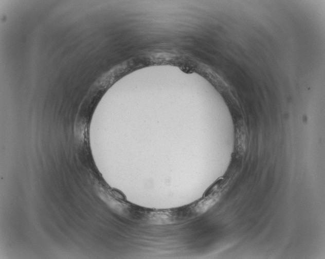 X0000081570574200702051217