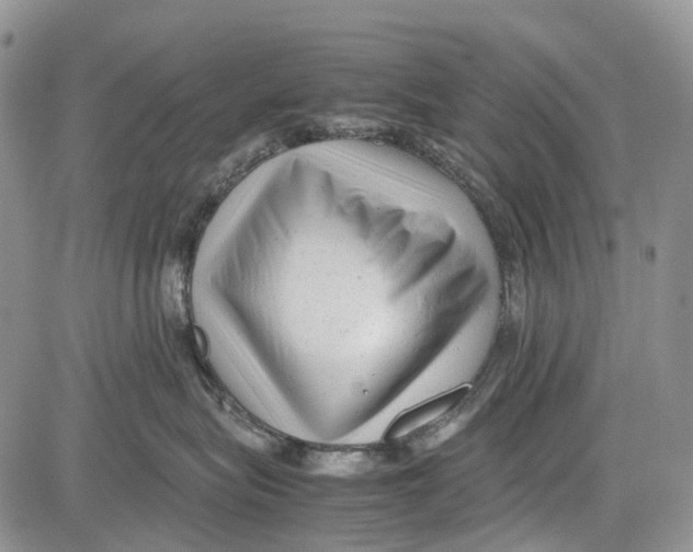 X0000081570575200702051217