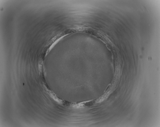 X0000081570576200702051217