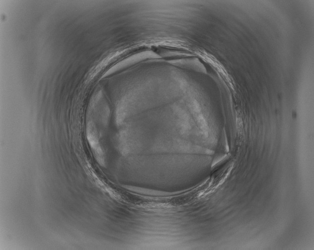 X0000081570577200702051216