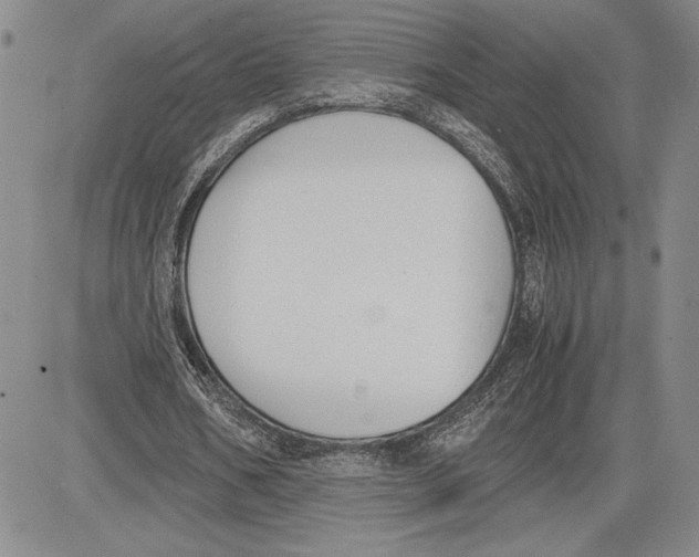 X0000081570578200702051216