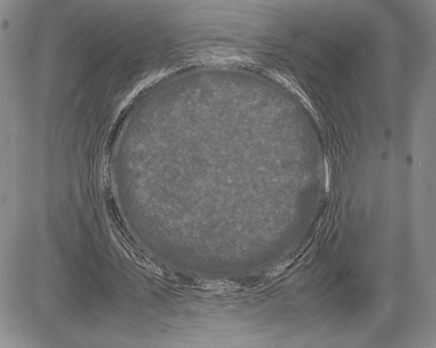 X0000081570579200702051216