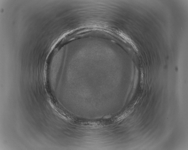 X0000081570580200702051216