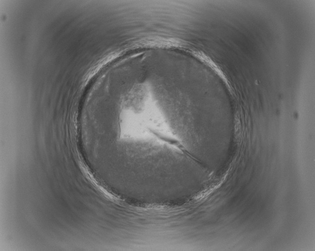 X0000081570581200702051216