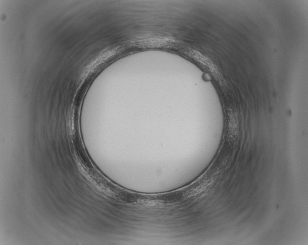 X0000081570582200702051216