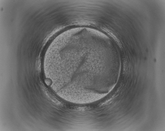 X0000081570584200702051216