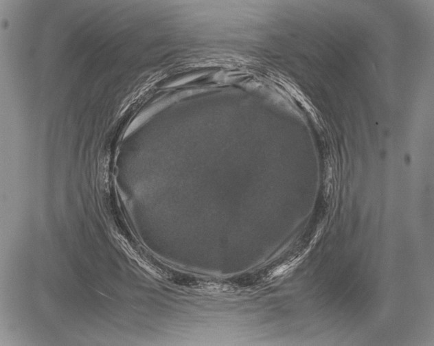 X0000081570585200702051216