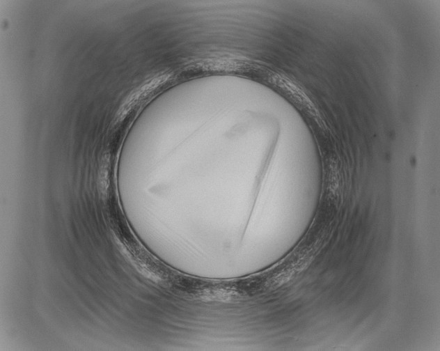 X0000081570586200702051216