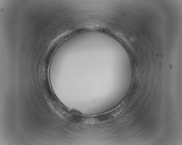 X0000081570587200702051216