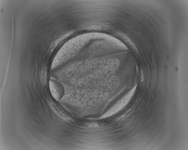 X0000081570588200702051216