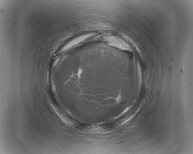 X0000081570589200702051216