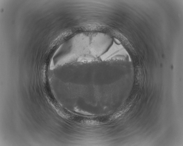 X0000081570590200702051216