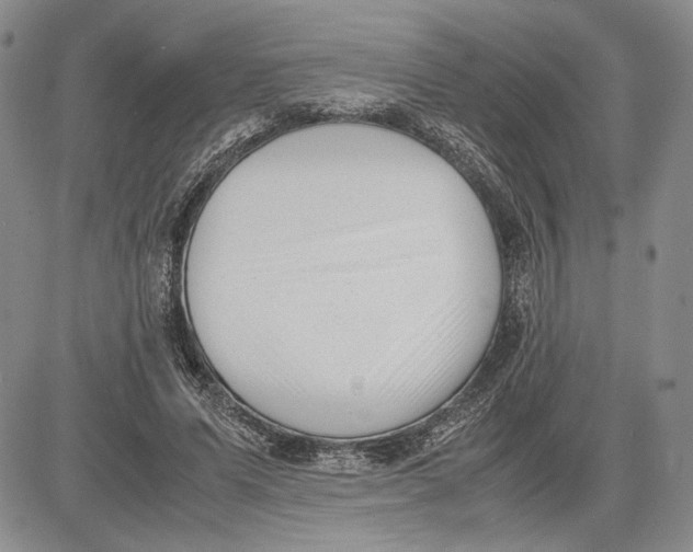 X0000081570591200702051216