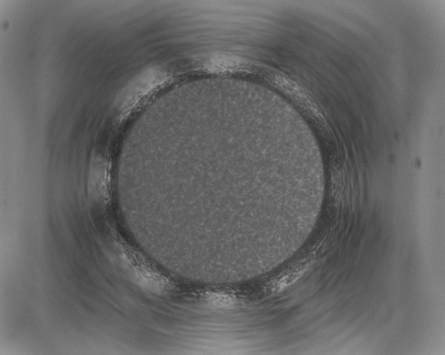 X0000081570592200702051216