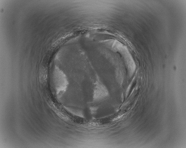 X0000081570593200702051216