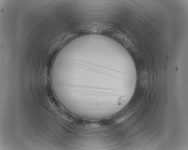 X0000081570594200702051216