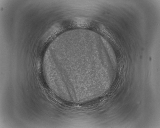 X0000081570595200702051216