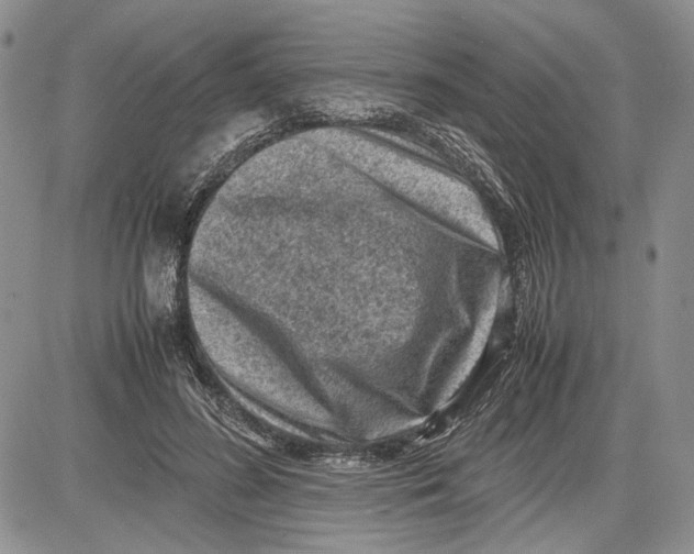 X0000081570596200702051216