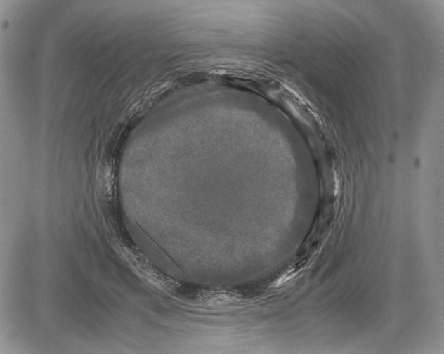 X0000081570597200702051216