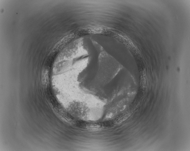 X0000081570598200702051216