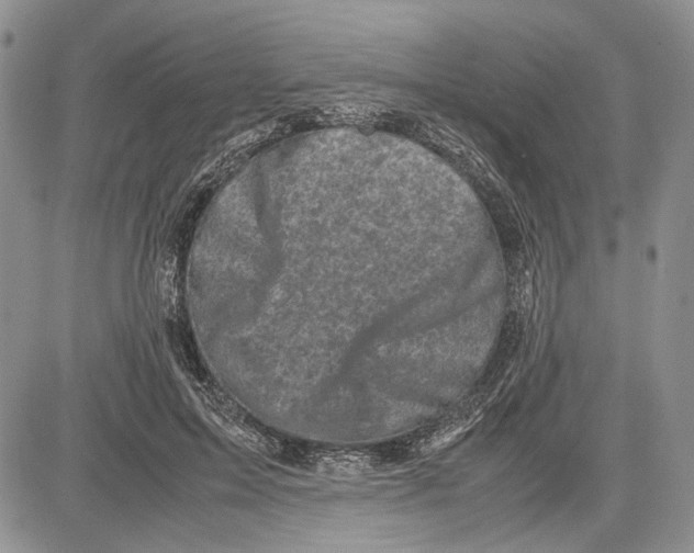 X0000081570599200702051216