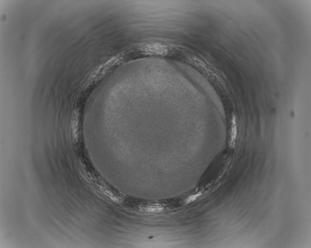 X0000081570600200702051216