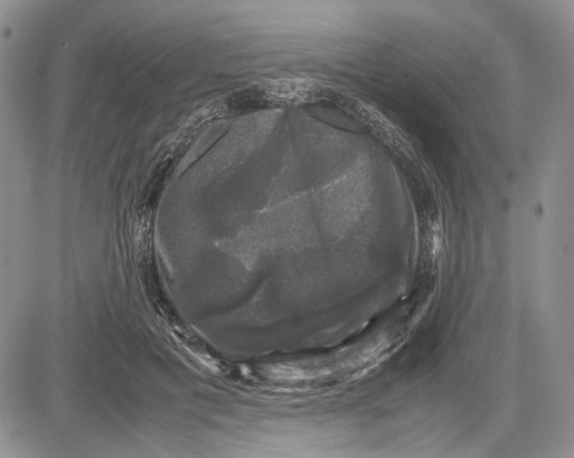 X0000081570601200702051216