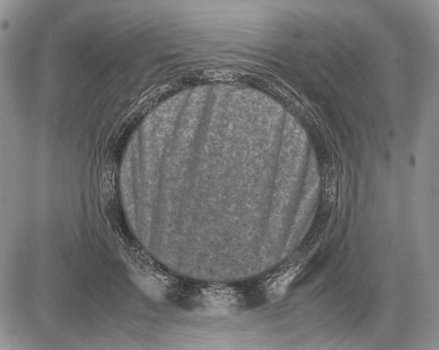 X0000081570603200702051216