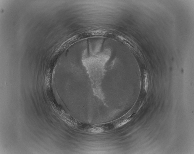 X0000081570604200702051216