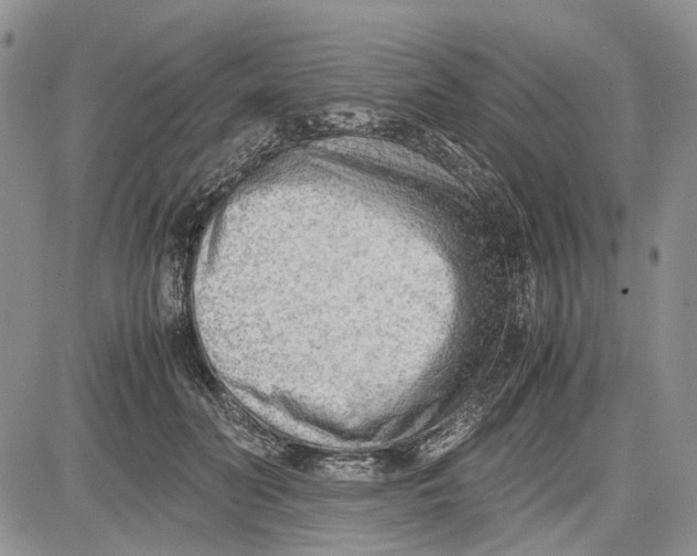 X0000081570606200702051216