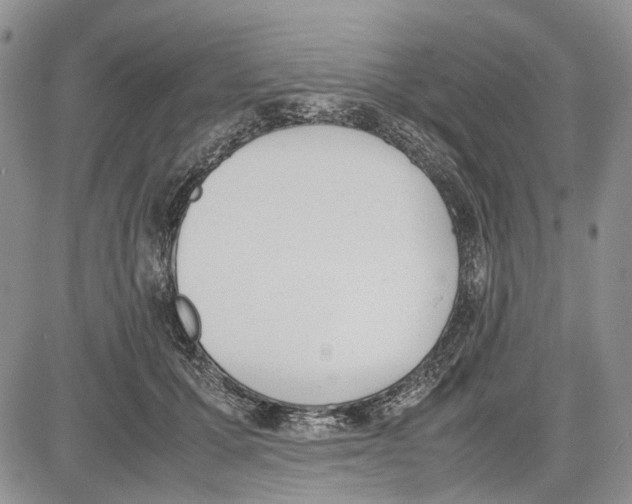 X0000081570607200702051216