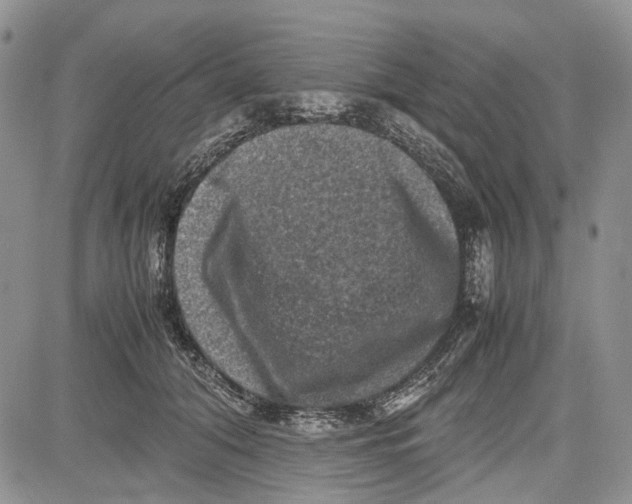 X0000081570608200702051216