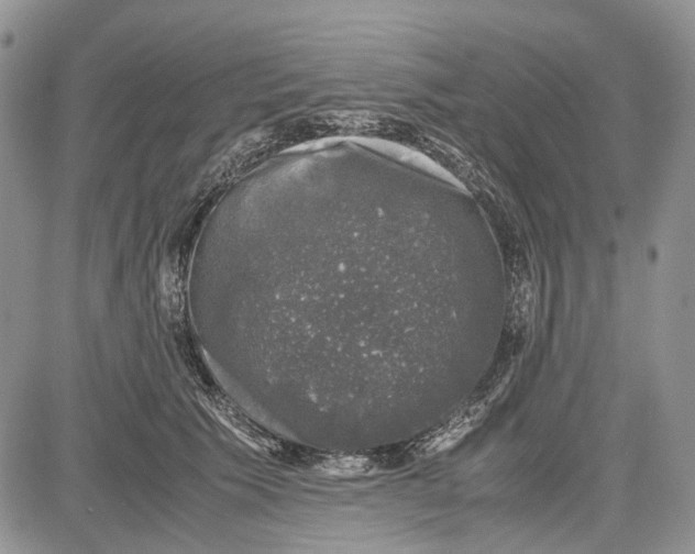 X0000081570609200702051216