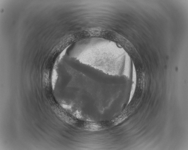 X0000081570610200702051216