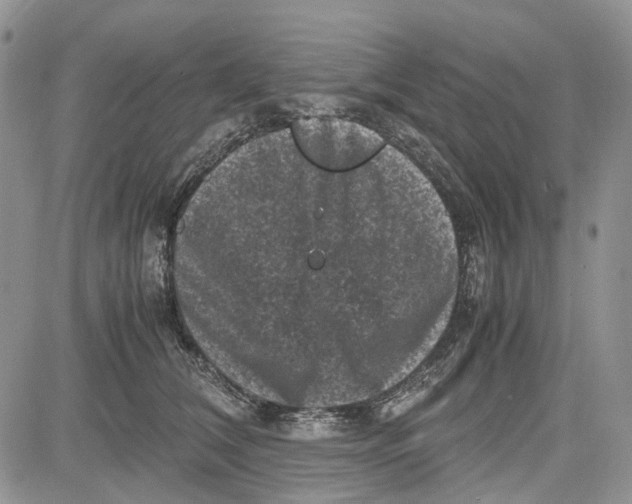 X0000081570612200702051216